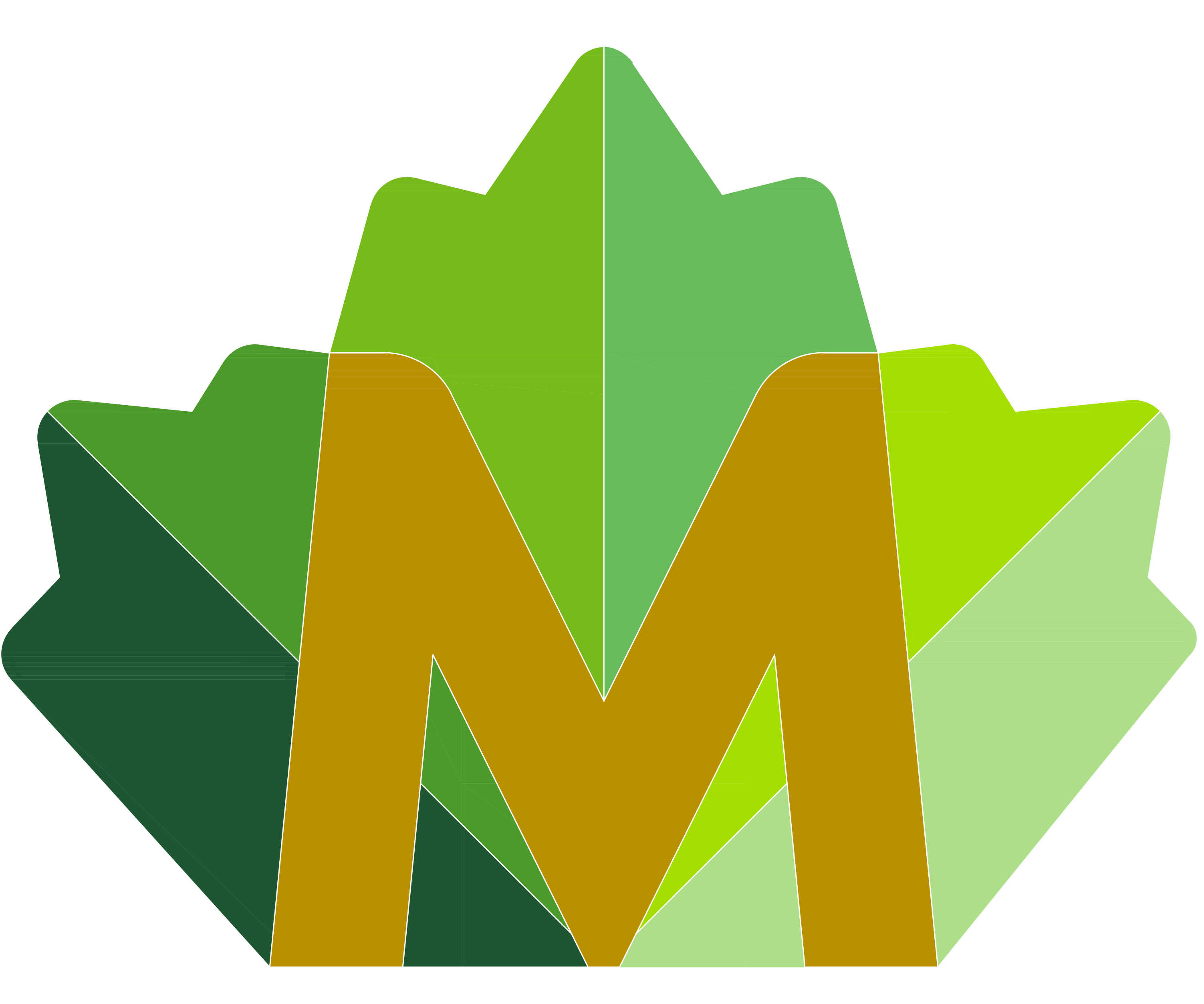 Montessori Professional Training Canada